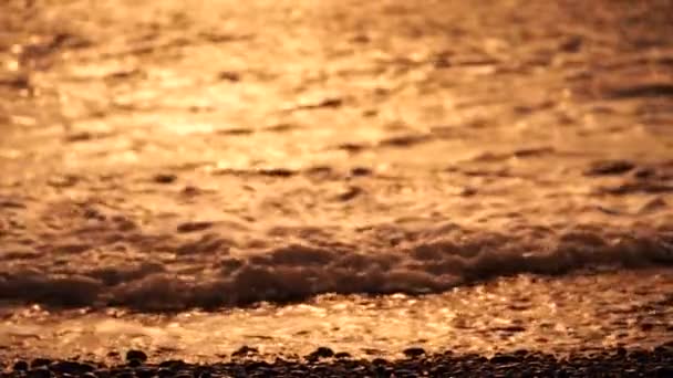 Mar Dourado Borrado Pôr Sol Sol Reflete Brilha Nas Ondas — Vídeo de Stock