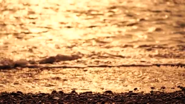 Θολή Χρυσαφένια Θάλασσα Ηλιοβασίλεμα Ήλιος Αντανακλά Και Λάμπει Στα Κύματα — Αρχείο Βίντεο