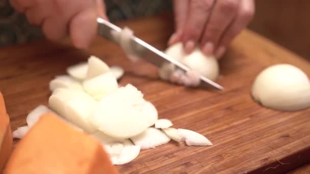Gemüsezwiebeln Schneiden Eine Köchin Schneidet Beim Kochen Zwiebeln Mit Einem — Stockvideo