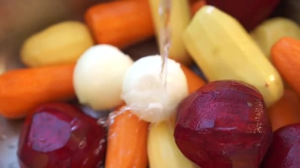 Подготовка Украинский Борщ Очищенная Морковь Свекла Картофель Вымываются Раковине — стоковое видео