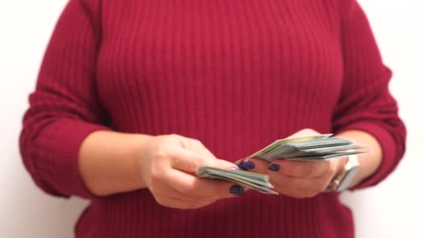 Женские Руки Долларовый Счет Изображение Финансовой Бухгалтерской Тематики Человек Считает — стоковое видео