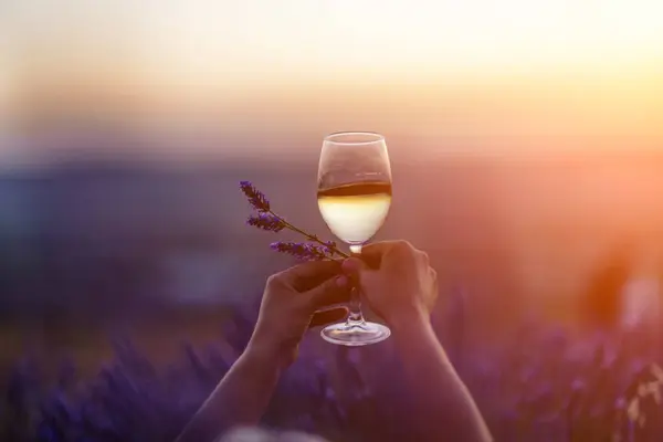 Glass white wine lavender field. Woman hand holds a glass with lavander and wine in the Lavender field at sunset Violet flowers on the background.. Conscious consumption. Wellness and natural concept.