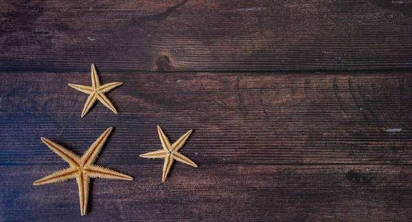 Sea stars. Summer nautical background - stars on wooden background.