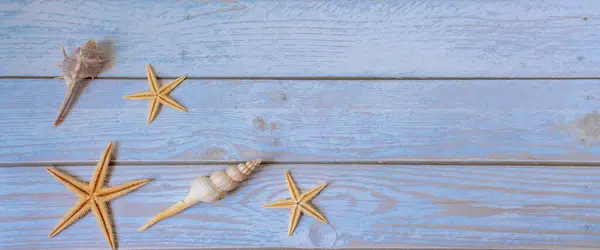 Seashells star banner. Summer sea background - seashells, star on wooden blue background.
