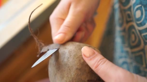 ハンドピールビート 女性はジャガイモのピーラーでジャガイモを剥がします ビートは食べ物を調理する準備をしている クローズアップ — ストック動画