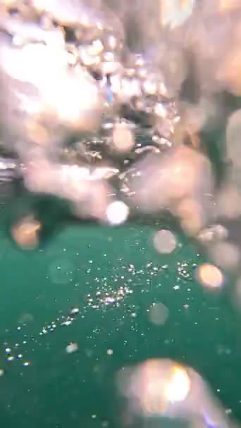 Medusas Agua Mar Esmeralda Atmósfera Submarina Fotografía Submarina Colorido Paisaje — Vídeo de stock