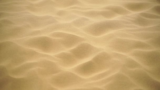 风中的沙子吹过沙丘 沙漠中的沙尘暴 — 图库视频影像