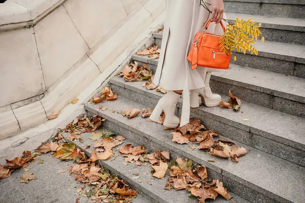 Autumn Stairs Female Legs. Unrecognizable female legs go down the stairs covered with leaves in the Autumn park. Shoes close up. Girl enjoying cool autumn weather outdoors, wearing stylish autumn