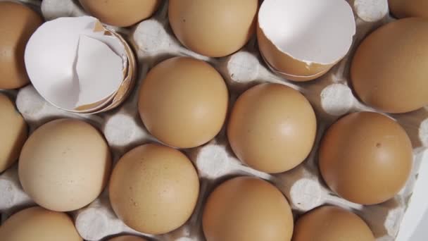 Telur Segar Dalam Kios Telur Nampan Telur Atau Nampan Telur — Stok Video