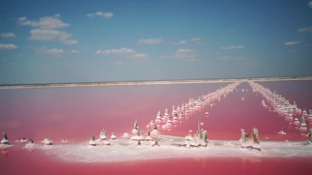 Рожеве Солоне Озеро Мікроводоростями Саліна Дуаліелла Ставок Солянодобувного Підприємства Маркування — стокове відео