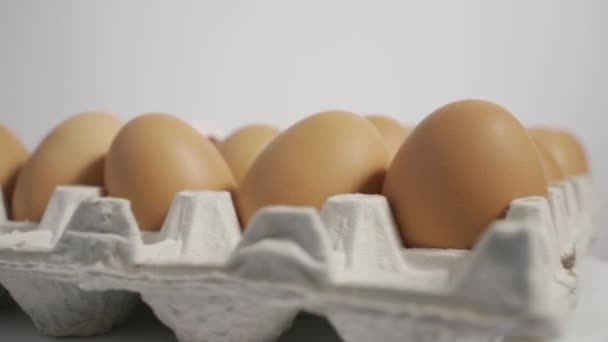 Свіжі Яйця Яєчному Кіоску Яєчний Лоток Або Яєчний Лоток Обертаються — стокове відео