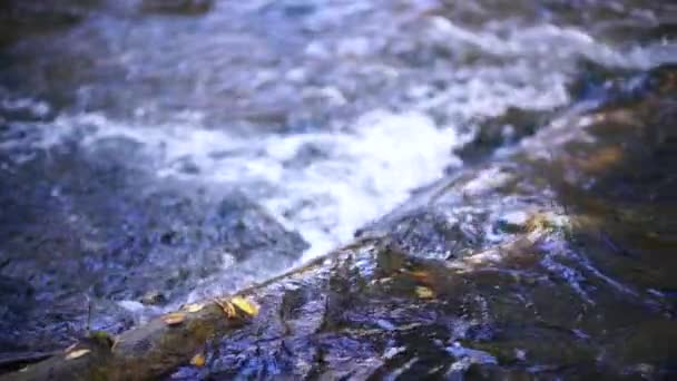 Flowing River Overcomes Log Clear Day Natural River Flow Obstacle — Video Stock