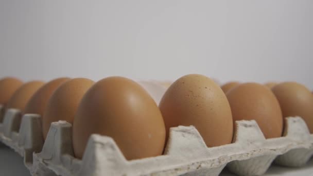 Φρέσκα Αυγά Ένα Περίπτερο Αυγών Δίσκος Αυγών Δίσκος Αυγών Περιστρέφεται — Αρχείο Βίντεο