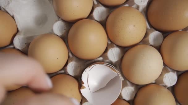 卵キオスクの新鮮な卵 卵のトレイや卵のトレイが回転しています Hlg 2020 更新されていません — ストック動画