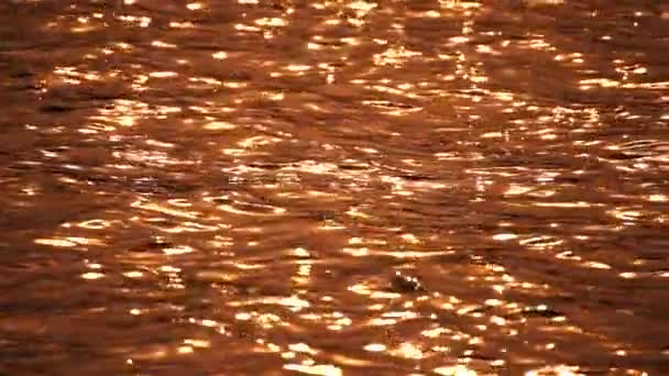 Abstrakcyjny Niewyraźne Wideo Wygaszacz Bokeh Złoty Morze Zachodzie Słońca Słońce — Wideo stockowe