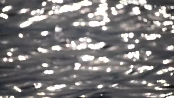 Streszczenie Rozmazane Wideo Wygaszacz Bokeh Srebrne Morze Zachodzie Słońca Słońce — Wideo stockowe