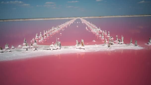 ミクロガエダナリエラサリーナとピンクの塩湖 塩採掘企業のポンド ポストをマーキング — ストック動画