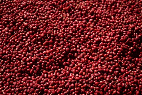 Adzuki Beans or Japanese Red Beans in nature background.