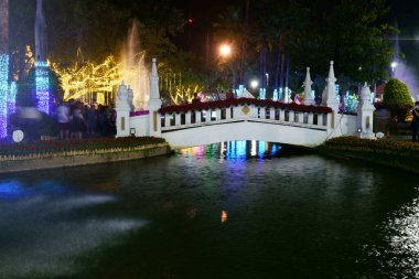 CHIANG MAI, THAILAND - 4 Şubat 2023: Chiang Mai, Tayland 'da Chiang Buak Şapka' da Chiang Mai Çiçek Festivali 'ni süsleyen güzel ışık süslemeleri.