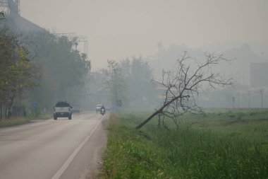 CHIANGMAI, THAILAND - 30 Mart 2023: 2.5 Başbakan 'dan Sis Şehri. Kötü hava kirliliği ve insanlar için tehlikeli manzaralar.