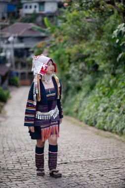 Güzel Akha Tepesi Kabilesi kızı Doi Mae Salong, Chiang Rai.  