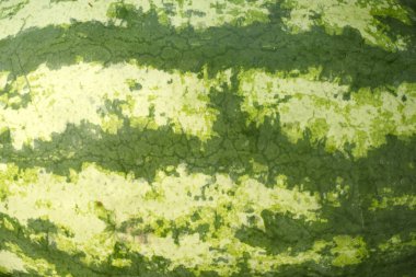 Doğa arkaplanı için karpuz dokusunu kapat.