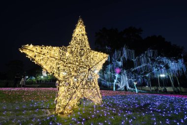 CHIANG MAI, THAILAND - 12 Aralık 2023: Charming Chiang Mai Çiçek Festivali 'nde güzel ışıklandırmalı çiçek bahçesi manzarası.
