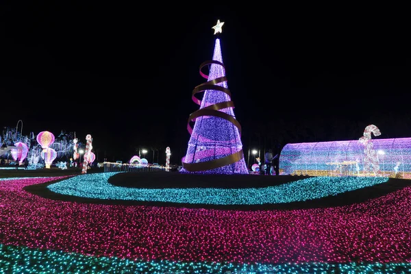 CHIANG MAI, THAILAND - 12 Aralık 2023: Charming Chiang Mai Çiçek Festivali 'nde güzel ışıklandırmalı çiçek bahçesi manzarası.