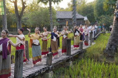 CHIANG MAI - 25 Ocak 2024: Si Peng or Than Khao Mai Tradition at Wat Ton Kwen eski bir Tayland geleneğidir..