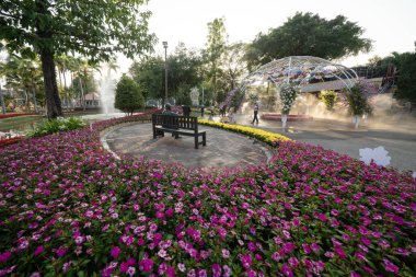 CHIANG MAI, THAILAND - 3 Şubat 2024: Chiang Mai, Tayland 'daki Suan Buak Haad Halk Parkı' ndaki Çiçek Festivali Sahası.