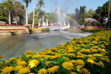 CHIANG MAI, THAILAND - 3 Şubat 2024: Chiang Mai, Tayland 'daki Suan Buak Haad Halk Parkı' ndaki Çiçek Festivali Sahası.