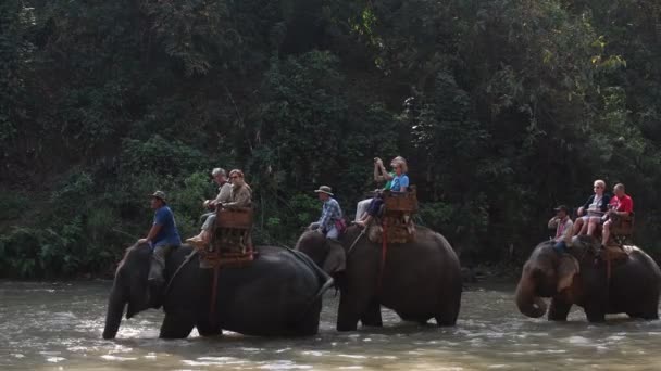 Chiang Mai Thailand Február 2018 Turisták Élvezik Lovaglás Ázsia Elefántok — Stock videók