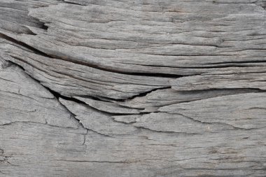 arka plan için ahşap dokusunu kapatın.