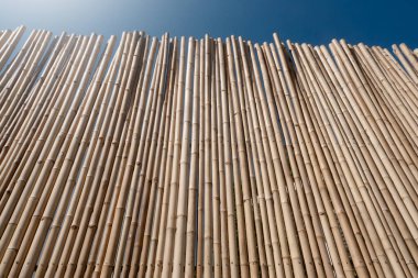 İç veya dış tasarım için bambu çit veya duvar dokusu arka planı.