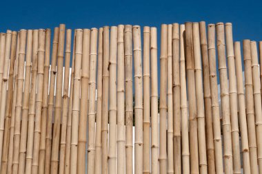 İç veya dış tasarım için bambu çit veya duvar dokusu arka planı.