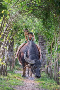 THAILAND - CHIANG-MAI, 31 Mart 2024: Parkta oynayan sevimli Asyalı çocukların grup resmi.