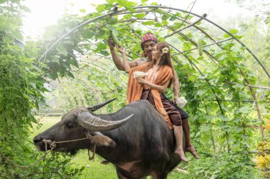 Tayland 'ın kuzeyinde, Buffalo' ya binen Asyalı genç erkek ve kadınlara duyulan sevgi..