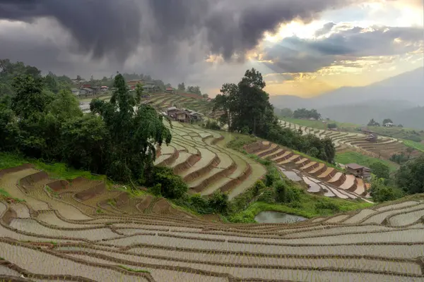 stock image Beautiful landscape nature green Terraced Rice Field at Pa Pong Pieng in Mae Chaem, Chiang Mai, Thailand.