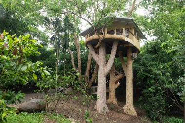 THAILAND - CHIANG MAI, 6 Ağustos 2024: Tayland, Chiang Mai bahçesindeki ağaçta bir ev..