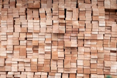 Doğa geçmişi için ahşap deseni ve dokuyu kapat.