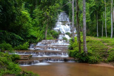 Namtok Phacharoen Şelalesi Ulusal Parkı Tak Eyaleti Tayland 'da ünlü bir yer..