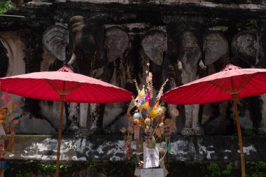 CHIANG MAI, THAILAND - 17 Eylül 2024: Tan Kuay Allah Festivali Lanna halkının geleneksel bir geleneğidir. Wat Chiang Man 'de..