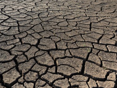 Toprak, doğa arkaplanı için deseni çatlatır. 