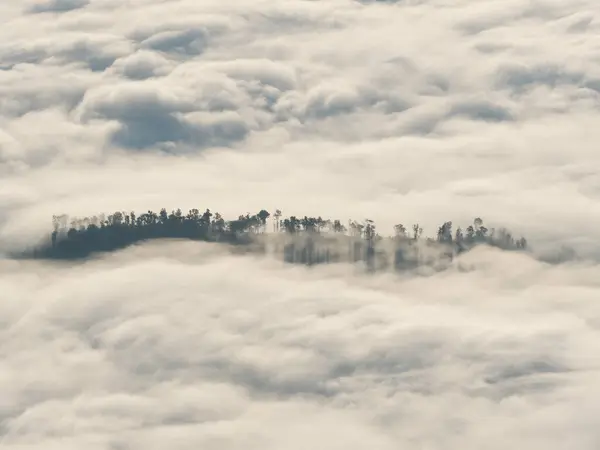 PHU CHI DAO, Tayland 'ın Chiang-Rai şehrinde bulutlardan oluşan ünlü bir yer.. 