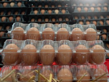 Tepside veya yumurta kutusunda organik tavuk yumurtası yüksek protein içerir ve pazarda sağlık için önemlidir.