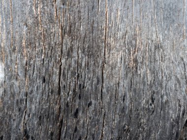 Doğa geçmişi için ahşap deseni ve dokuyu kapat.