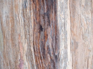 Doğa geçmişi için ahşap deseni ve dokuyu kapat.