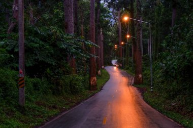Chiang Mai Kuzey Tayland 'da Chiang Dao' ya güzel bir yol.