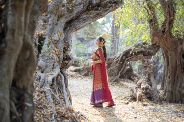 Tayland 'ın başkenti Chiang Mai' de Tayland kostümü giymiş güzel bir kadın..