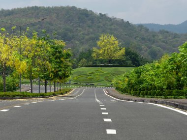 Chiang Mai 'deki Ratchaphruek Flora Bahçesinde açan sarı altın duş ağaçları..